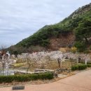 미선향테마파크 이미지