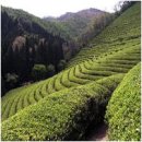 갈대한우촌 이미지