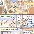 디자인인사이트 네이버블로그