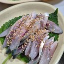 동민네횟집 | 화성 궁평항 회 맛집 동민네횟집 후기