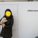 안다켄넬반려견을품에안다