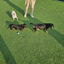 알미산로 이미지