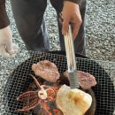 곡성산림마트 | 곡성 좋은세상리조트 곡성 글램핑 A동 펜션 내돈내산 후기