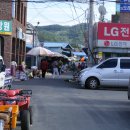 풍각약국 Daum카페