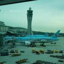 액티브라이프(ActiveLife) | 골전도 블루투스이어폰 애프터싹 사용후기 귀의 피로감 싹 기능업