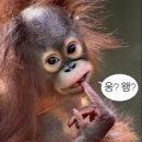 목화밀면&양꼬치공주 이미지