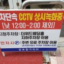 감포참가자미식당 이미지