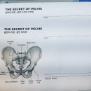 김선희 GX휘트니스 | [바울라쌤]회원님들을 위해 끊임없이 노력하는 필라테스강사