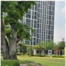 안심부동산중개사무소 이미지