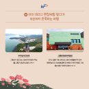 성실식당 네이버블로그
