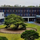 장수청과 이미지