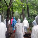 밤곶이 놀자 숲놀이터 이미지