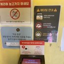 피자스쿨(부산광안점) | 이재모피자 부산역 평일 웨이팅 없음. 혼밥 솔직 후기 크러스트 추천