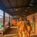 GS25 율암온천 | 겨울 온천 데이트 끝판왕! 화성 율암온천 숯가마 준비물 주말 찜질방 추천