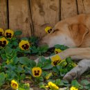 창원메디컬동물병원 이미지
