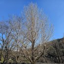 산조대금(목) | 3. 수. <영남권 인문열차> 1일차: 선비탐방/선비다례/선비간찰/선비풍류 후기 in 영주 한국선비문화수련원