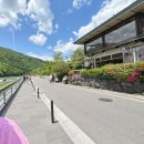 세븐일레븐 광주양산점 | 교토 3박4일 자유여행 - 치쿠린, 아라시야마, 청수사, 후시미이나리신사, 우나기 만키치 장어덮밥후기