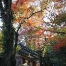 백운동 정원 이미지