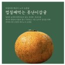 맘스팜 - 강동구 | 내돈내산 믿고 먹는 유기농감귤 맛집 제주맘스팜