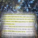 흙광고기획 | 책은 도끼다 책 | 박웅현 책 후기 | 매화의 풍장으로 흙 위에 다시 피는 인생 추천 리뷰 핵심 요약