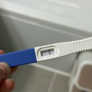 낱낱이 봄;내_일적 | [🐭 #1] 둘째 임밍아웃 ; 임신 초기 증상부터 하혈 이슈까지 낱낱이 기록해보아요.