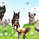 한아름 쉼터 이미지