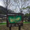 광덕공원 화장실 이미지