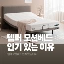 어스파이어라이프스타일 | 모션베드 추천 왜 결국 템퍼?