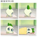 시골오리 이미지