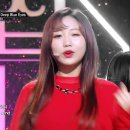 조화그룹 Daum카페