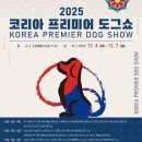 수원-0661 이미지