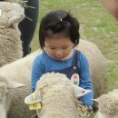 지온목장 이미지