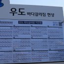 1박2일 초도+득량도+우도+보너스 우도편 이미지