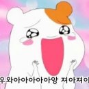 로하핏스튜디오 이미지