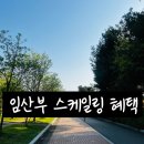 선경치과의원 | 수원 임산부 스케일링 시기 [임신중기]