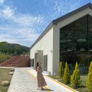 발레나식스