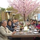 Cherry blossom, Friends and Wine ! 이미지