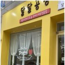 카페 속초 이미지