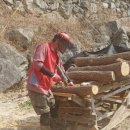 매봉산 농장 이미지