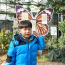 나비부화장 이미지