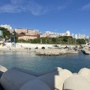 도원참치물회 이미지