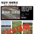 유가약선 이미지