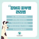 학장동물병원 이미지