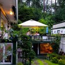 오색로뎀나무아래 이미지