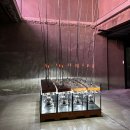 한성농축원 | <2024 파라다이스 아트랩 페스티벌 장충> 9월 서울 무료 전시회 정보 &amp;다녀온 후기