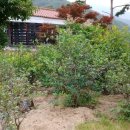 가조공인중개사사무소 이미지