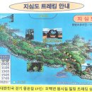 거목민박 | 거제 지심도 동백꽃 3월 개화 시기 섬 여행 코스, 배편 정리