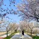 백구소공원 이미지