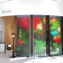 주식회사 스타투어 이미지