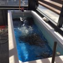 명문장어 이미지